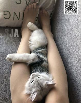 我的家教老师电影